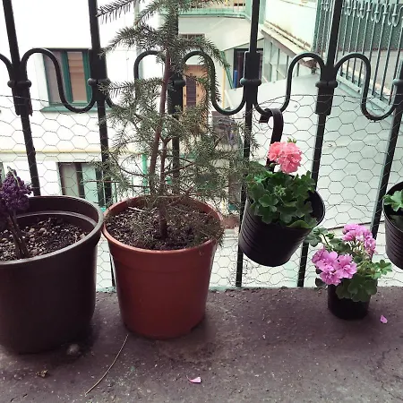 Apartman Studio Bastova *